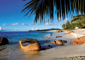 Rburg - Under the Palm Trees Puzzle 1000p - Modern Brands Australia