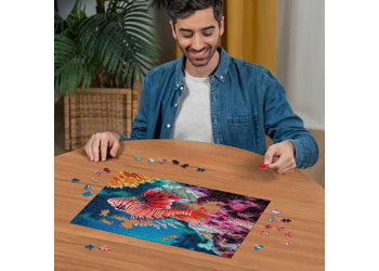 Rburg - Red Lionfish 500p - Modern Brands Australia
