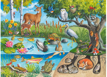 Rburg - Animals Above and Below 60p - Modern Brands Australia