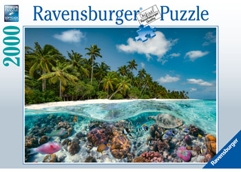 Rburg - A Dive in the Maldives 2000p - Modern Brands Australia