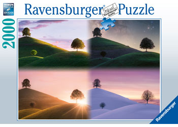 Rburg - Atmospheric trees and mountains 2000p - Modern Brands Australia