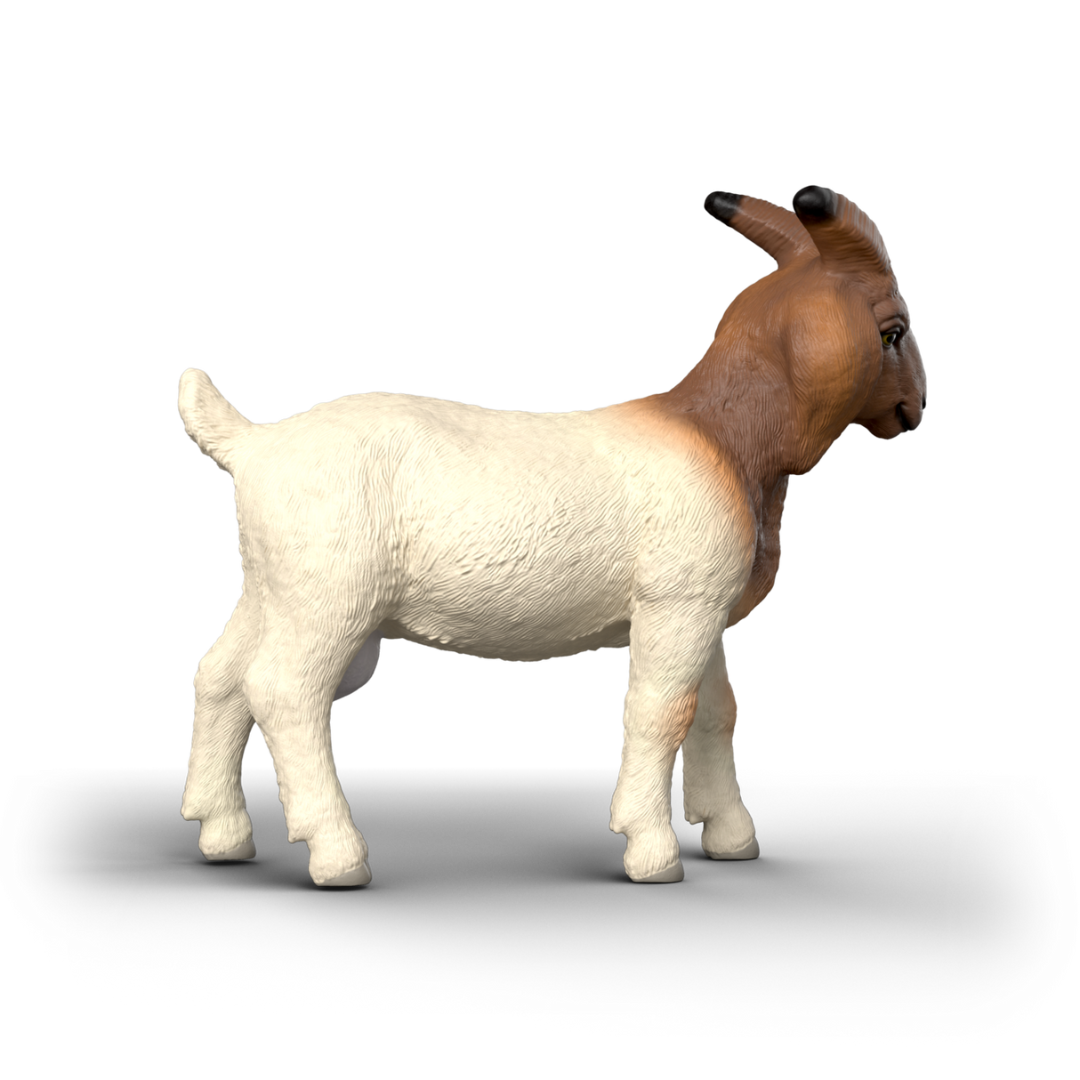 Schleich - Boer Goat