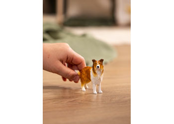 Schleich - Collie 2025 Release - Modern Brands Australia