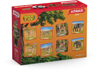 Schleich - Wild Life Asia Starter Set - Modern Brands Australia