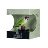 Mojo - Green Woodpecker Gift Boxed
