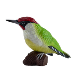 Mojo - Green Woodpecker Gift Boxed