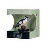 Mojo - Greater Spotted Woodpecker Gift Boxed