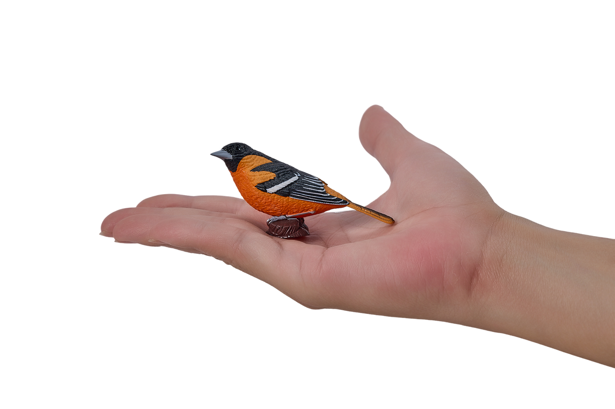 Mojo - Northern Oriole Gift Boxed