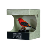 Mojo - Scarlet Tanager Gift Boxed