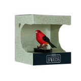 Mojo - Scarlet Tanager Gift Boxed