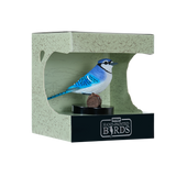 Mojo - Blue Jay Gift Boxed