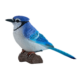 Mojo - Blue Jay Gift Boxed