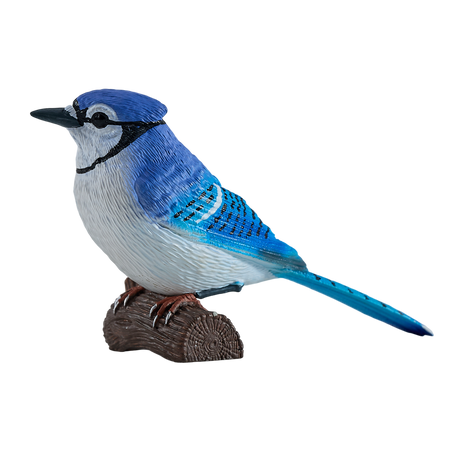 Mojo - Blue Jay Gift Boxed