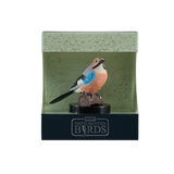 Mojo - European Jay Gift Boxed