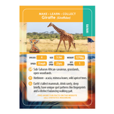 CrystalArt - Wildlife Buddies - Giraffe - Modern Brands Australia