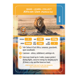 CrystalArt - Wildlife Buddies - Lion - Modern Brands Australia