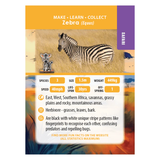 CrystalArt - Wildlife Buddies - Zebra - Modern Brands Australia