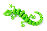 Wriggly Gecko - Educational Vantage