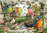 Ravensburger - Our Feathered Friends Puzzle 1000 Pieces