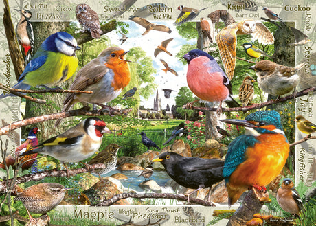 Ravensburger - Our Feathered Friends Puzzle 1000 Pieces