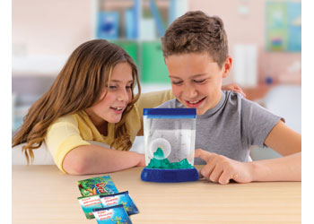 Aqua Dragons - Colour Changing Box Kit with LED Li - Modern Brands Australia