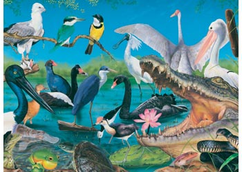 BOpal - Wild Aust Wetlands & Marshes 150pc - Modern Brands Australia