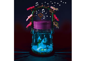 Brainstorm - My Very Own Fairy Jar - Modern Brands Australia