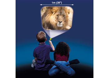 Brainstorm - Animal Torch & Projector - Modern Brands Australia