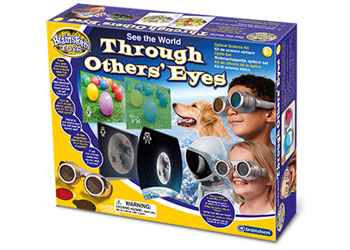 Brainstorm - See The World Through Others Eyes - Modern Brands Australia