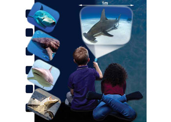 Brainstorm - Shark Torch & Projector - Modern Brands Australia