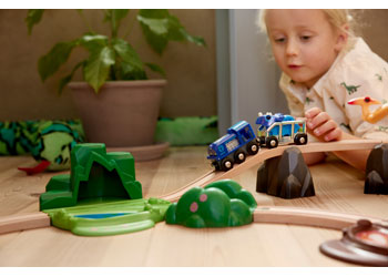 BRIO - Special Edition Train (2025) - Modern Brands Australia