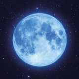 brse2071_5.jpg