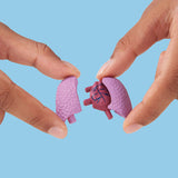 Brainstorm Toys - Build a Body
