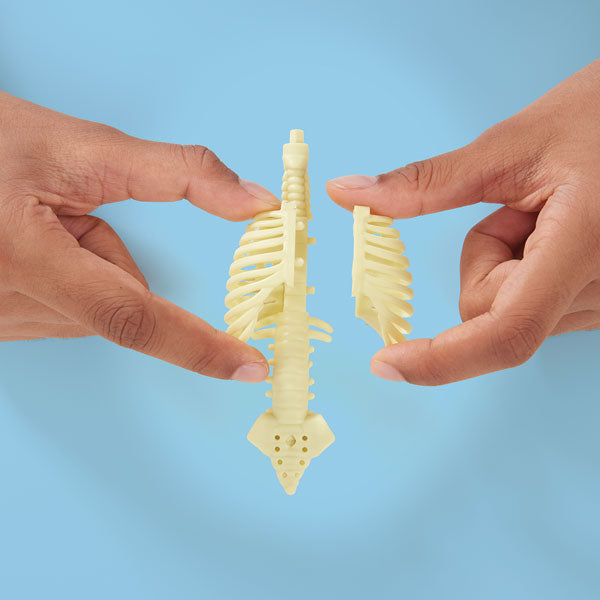 Brainstorm Toys - Build a Body