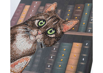 CrystalArt - Cats in the Library Notebook 18x26cm - Modern Brands Australia