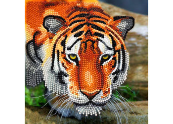 CrystalArt - Tiger 18x18cm Card - Modern Brands Australia