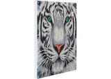 CrystalArt - White Tiger 30x30cm Kit - Modern Brands Australia