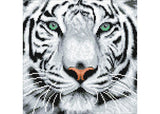CrystalArt - White Tiger 30x30cm Kit - Modern Brands Australia