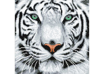 CrystalArt - White Tiger 30x30cm Kit - Modern Brands Australia
