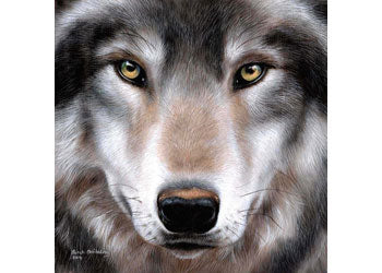 CrystalArt - Wolf 30x30cm Kit - Modern Brands Australia