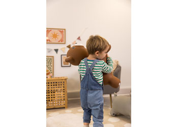 Happy Hopperz - Teddy Bear - Modern Brands Australia