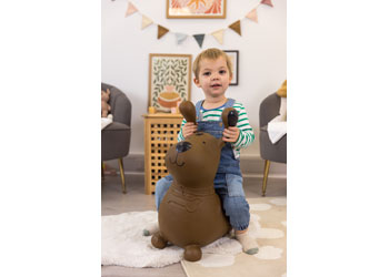 Happy Hopperz - Brown Dog - Modern Brands Australia