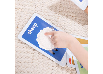 M&D - Ms. Rachel 1st Words Flashcards - Modern Brands Australia