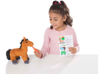 M&D - Feed & Groom Horse Care Play Set - Modern Brands Australia