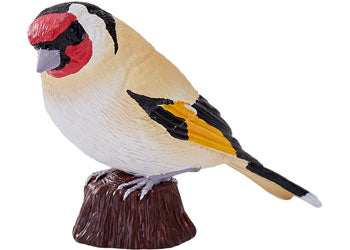Mojo - European Goldfinch 2025 - Modern Brands Australia