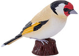 Mojo - European Goldfinch 2025 - Modern Brands Australia