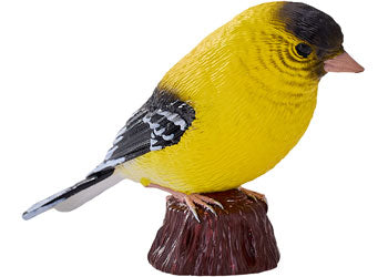 Mojo - American Goldlfinch 2025 - Modern Brands Australia