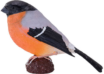 Mojo - Bullfinch 2025 - Modern Brands Australia