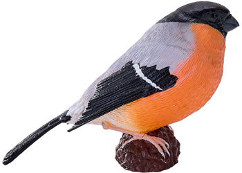 Mojo - Bullfinch 2025 - Modern Brands Australia
