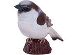 Mojo - House Sparrow 2025 - Modern Brands Australia